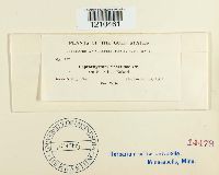 Thumbnail image of current specimen