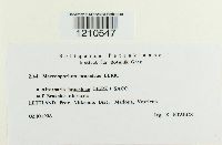 Image Associated With the Occurrence