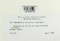 Image Associated With the Occurrence