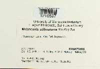 Image Associated With the Occurrence