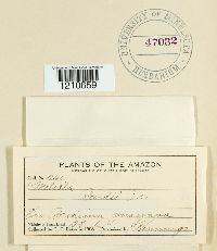 Image Associated With the Occurrence