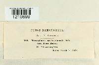 Image Associated With the Occurrence