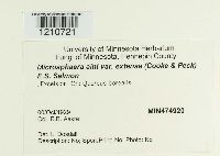 Image Associated With the Occurrence