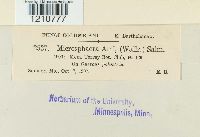 Image Associated With the Occurrence