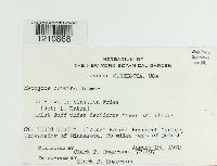 Image Associated With the Occurrence