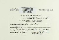 Image Associated With the Occurrence