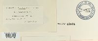 thumbnail image of current specimen