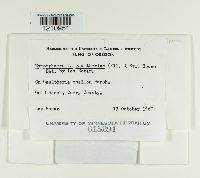 Image Associated With the Occurrence