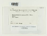 Image Associated With the Occurrence