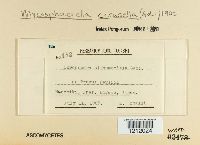 Image Associated With the Occurrence