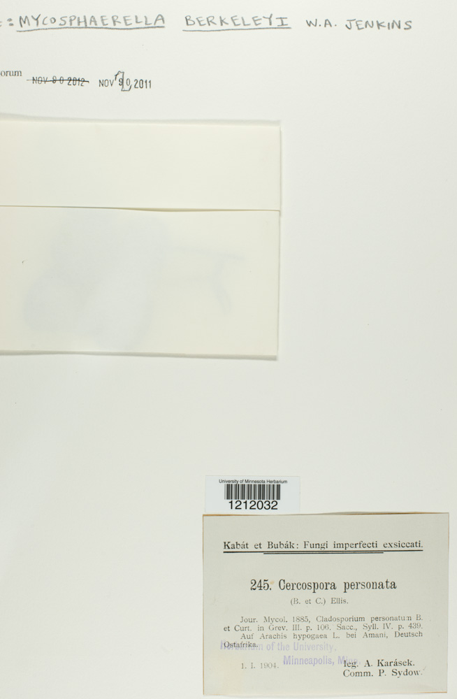 Mycosphaerella personata image