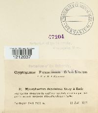 Image Associated With the Occurrence