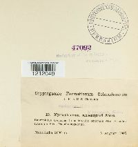 Media resource of Cladosporium graminum