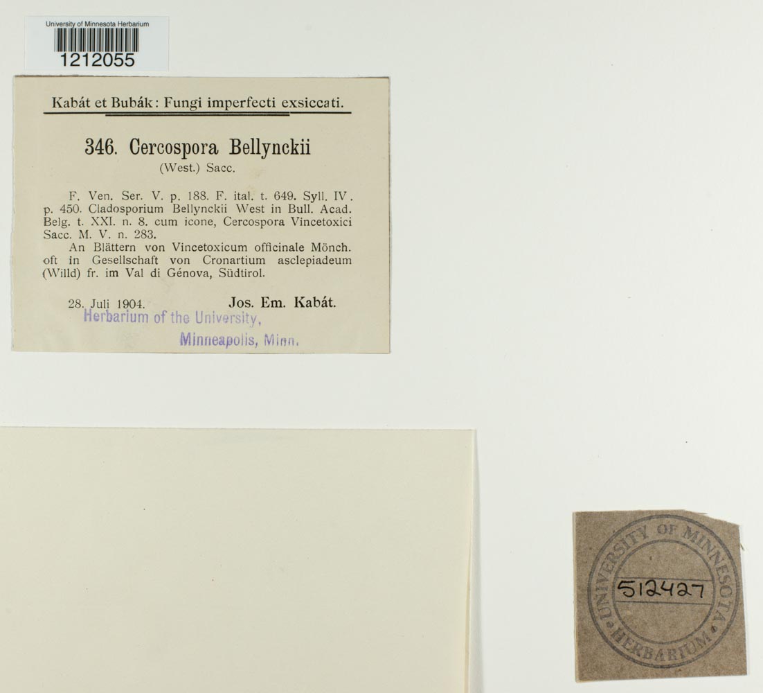 Mycovellosiella bellynckii image