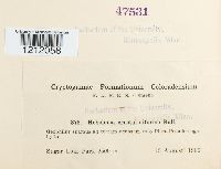 Image Associated With the Occurrence