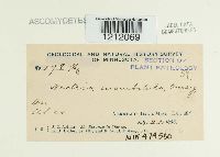 Media resource of Nectria cucurbitula