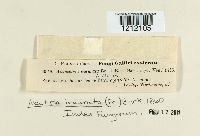 Image Associated With the Occurrence