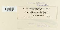 thumbnail image of current specimen