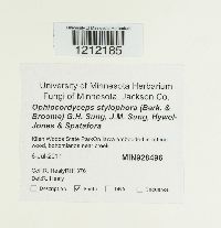 Image Associated With the Occurrence