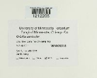 Image Associated With the Occurrence