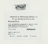 Image Associated With the Occurrence