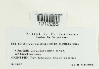 Image Associated With the Occurrence