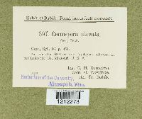 Image Associated With the Occurrence