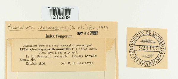 Passalora desmanthi image