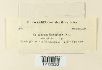 Passalora ferruginea image