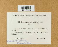 Image Associated With the Occurrence