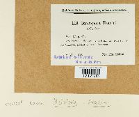 Image Associated With the Occurrence