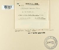 Image Associated With the Occurrence