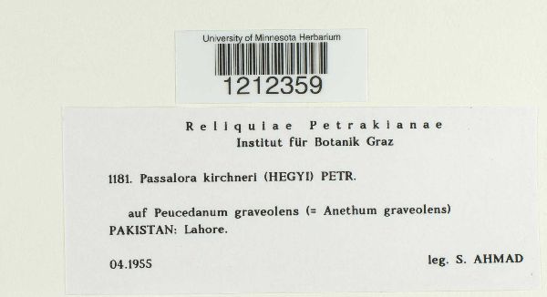 Passalora kirchneri image