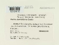 Image Associated With the Occurrence