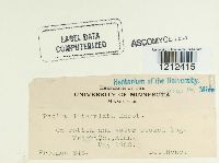 Image Associated With the Occurrence