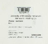 Image Associated With the Occurrence