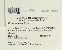 Image Associated With the Occurrence