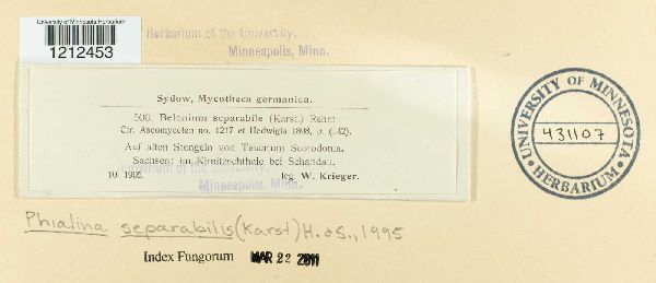 Phialina separabilis image