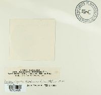 Image Associated With the Occurrence