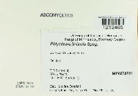 Media resource of Phlyctema linicola