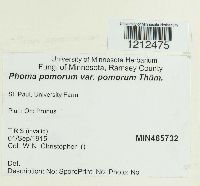 Image Associated With the Occurrence