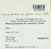 Image Associated With the Occurrence