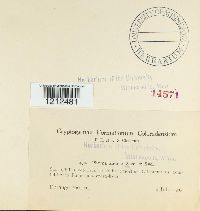 Image Associated With the Occurrence