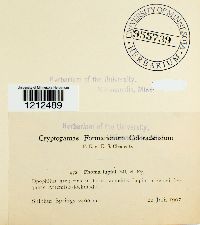 Image Associated With the Occurrence