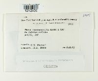 Image Associated With the Occurrence