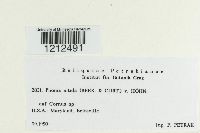 Image Associated With the Occurrence