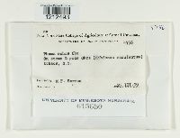 Image Associated With the Occurrence