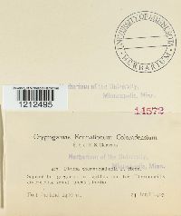 Image Associated With the Occurrence