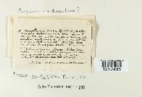 Image Associated With the Occurrence