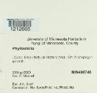 Image Associated With the Occurrence